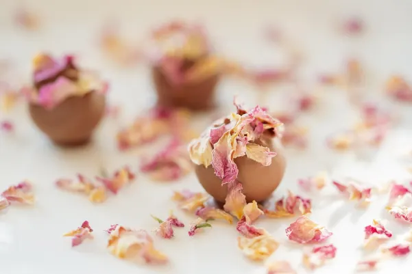 Bet9 Casino Android/iOS Forrit